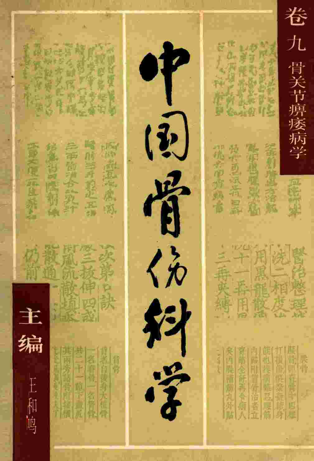 中国骨伤科学  卷9  骨关节痹痿病学